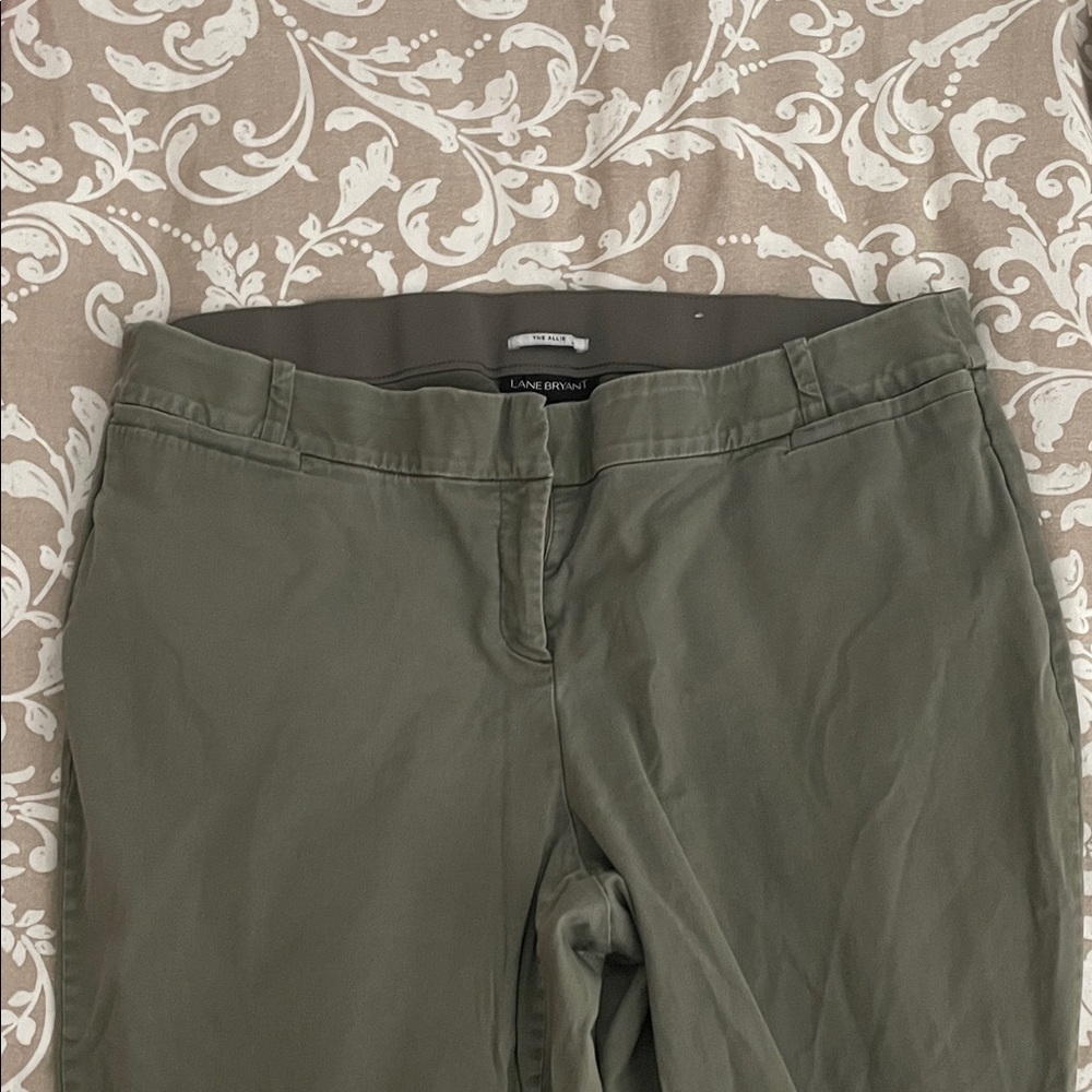 Lane Bryant Men's Khaki Pants in Olive